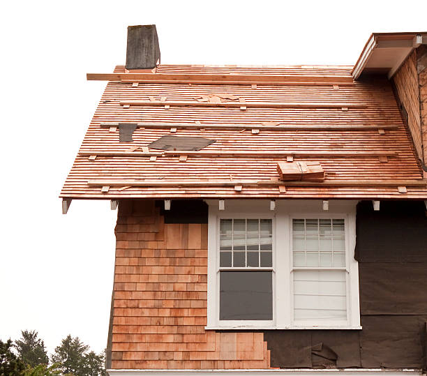 Affordable Siding Repair and Maintenance Services in Picture Rocks, AZ